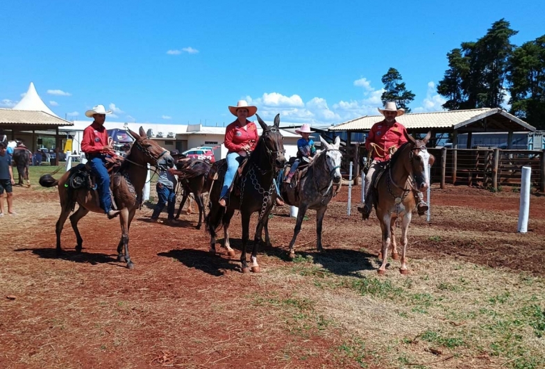 Grupo de Muladeiros também participou da Cavalgada da UniFSP