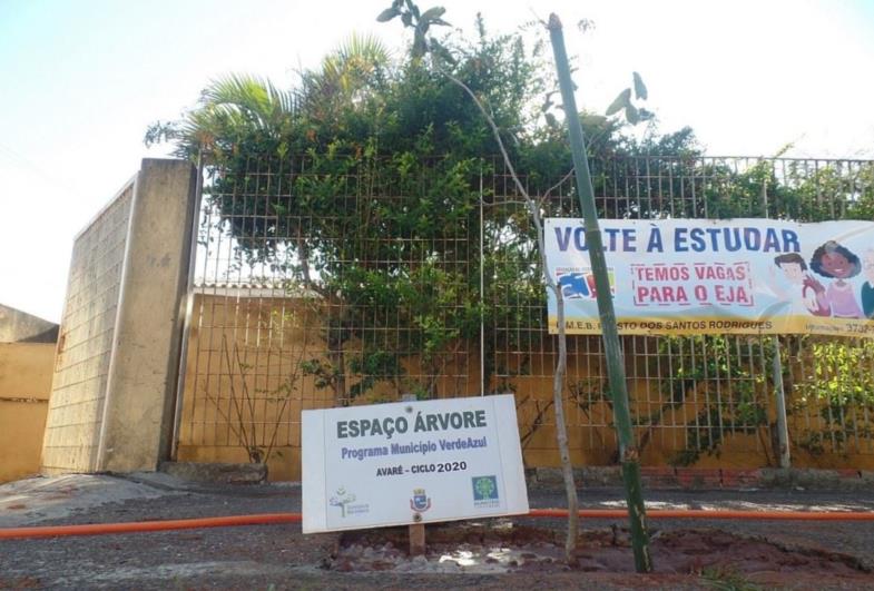 Escolas municipais recebem programa de arborização urbana