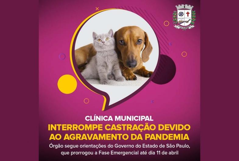 Clínica Municipal interrompe castração devido ao agravamento da pandemia