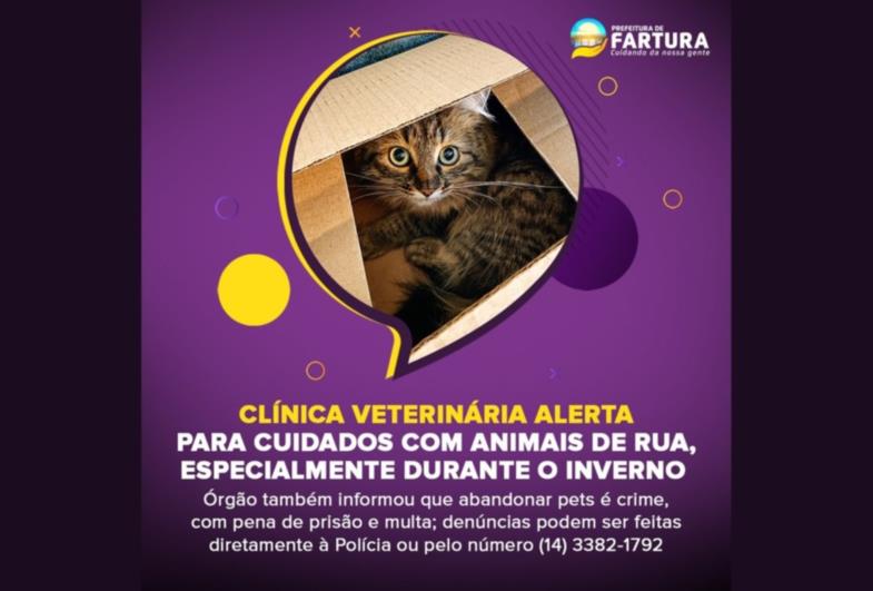 Clínica Veterinária de Fartura alerta para cuidados com animais de rua, especialmente durante o inverno 