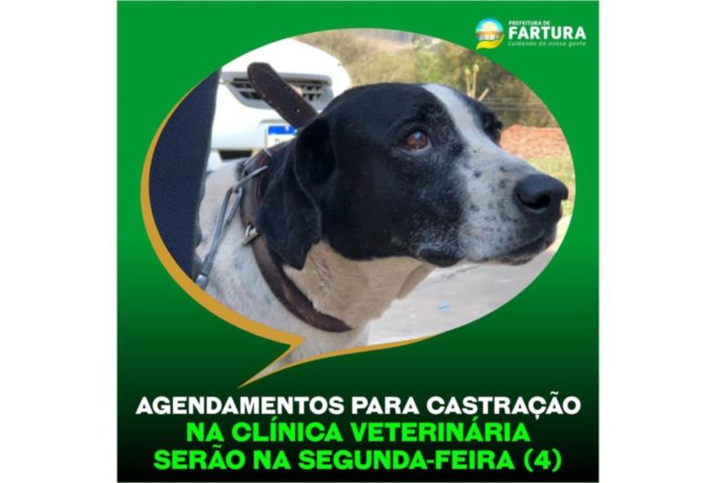 Agendamentos para castração na Clínica Veterinária serão na segunda-feira (4)