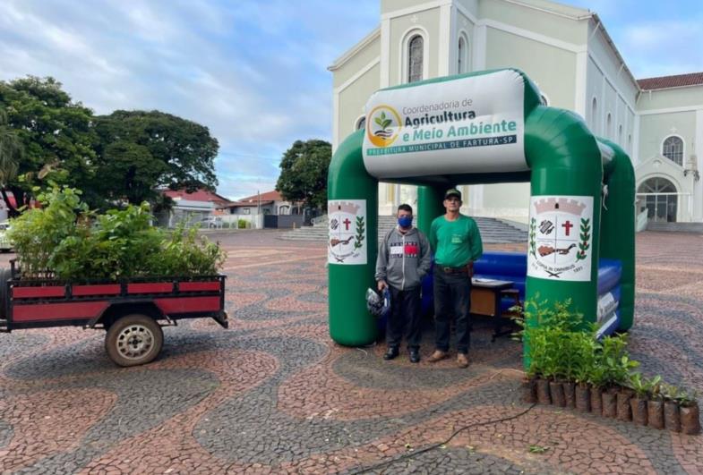 Moradores podem retirar mudas de árvores nesta sexta-feira (03) na Praça da Matriz