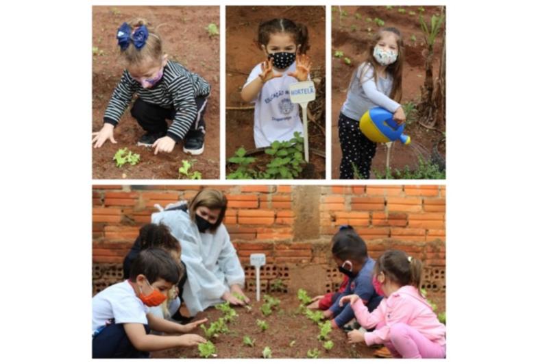 Projeto Horta na Escola retorna em Itaporanga