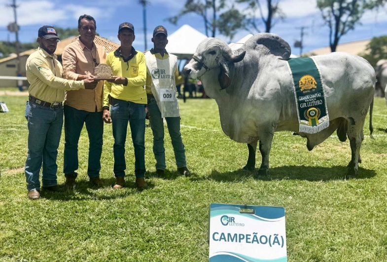  “Respeito” conquista título na categoria Touro Adulto da 8ª Exposição Estadual do GIR Leiteiro de Avaré