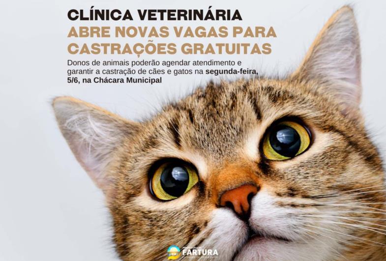 Clínica Veterinária Municipal abre novas vagas para castrações gratuitas