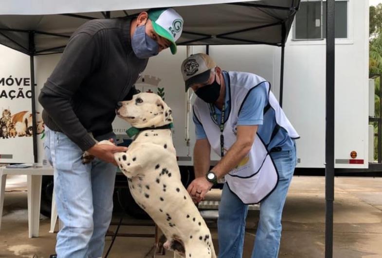 Vigilância Sanitária imunizou cerca de 300 pets este ano