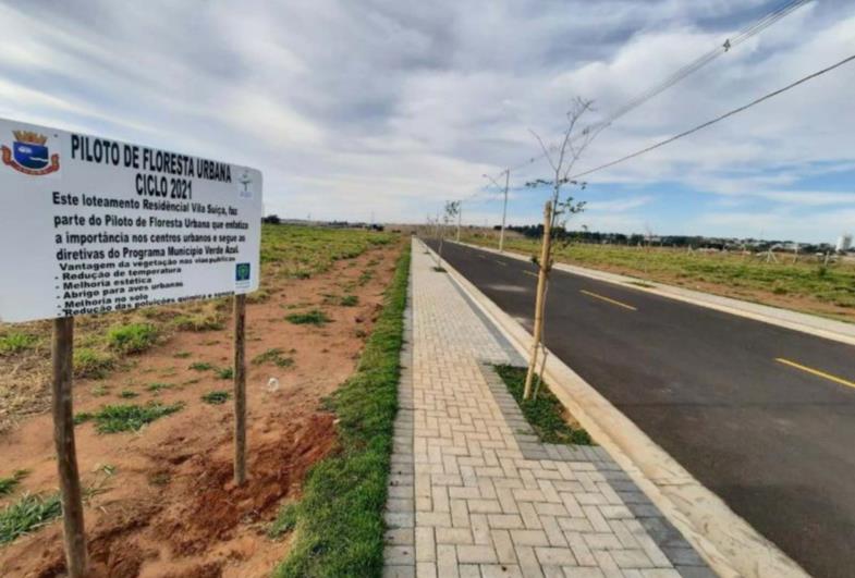 Avaré ganha novo piloto de Floresta Urbana