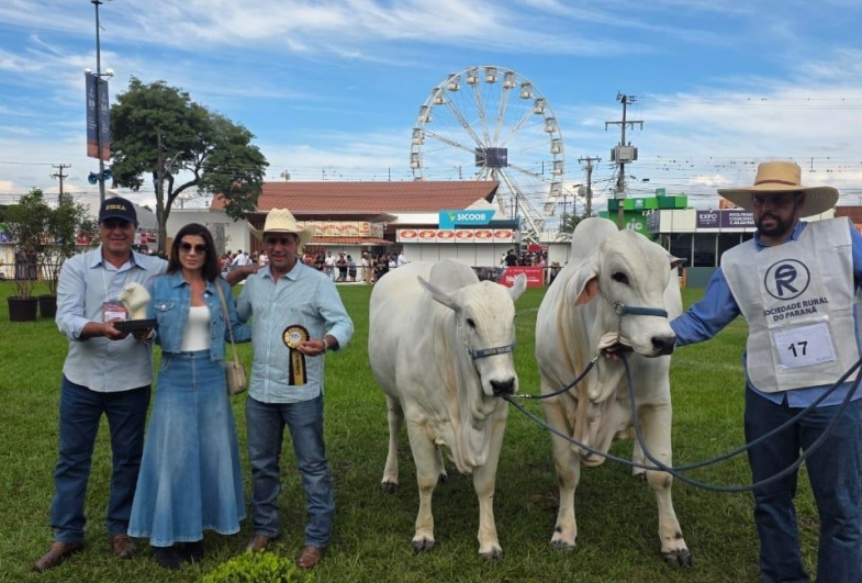 Avaré busca inovação e fortalece o agro com participação em uma das maiores feiras do país