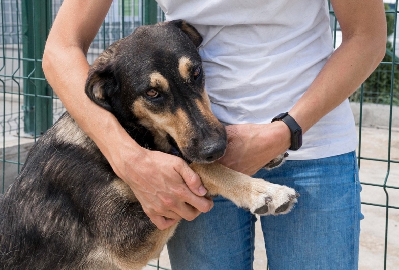 Secretaria de Avaré prorroga até dia 5 prazo para cadastramento de entidades e voluntários