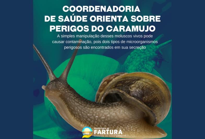 Coordenadoria de Saúde orienta sobre perigos do caramujo