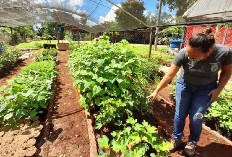 Coordenadoria de Agricultura e Meio Ambiente fornece mudas para recuperação de nascentes