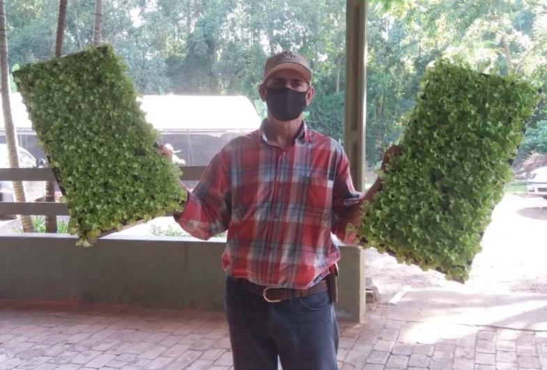 Programa “Horta Alimento” contempla famílias atendidas pelo CRAS