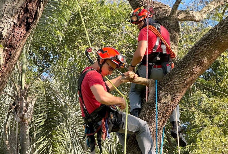 Horto Florestal foi um dos locais onde a equipe esteve
