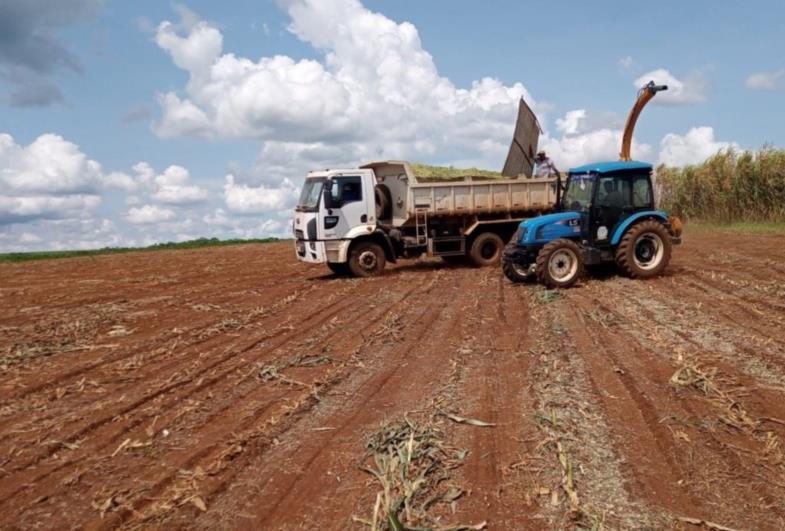 Timburi intensifica política de apoio aos agricultores e pecuaristas