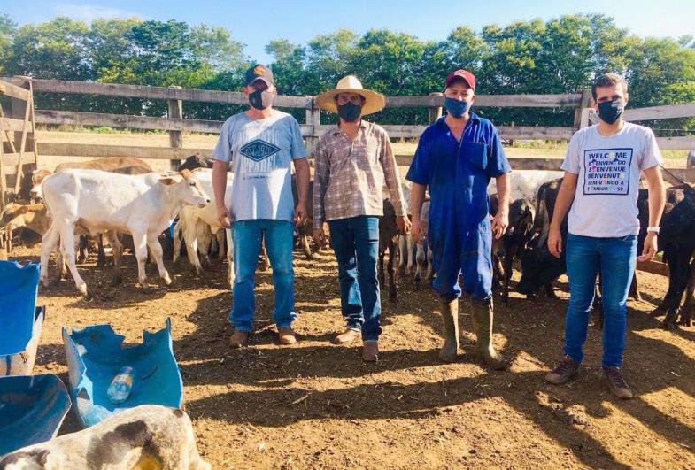 Prefeitura disponibiliza atendimento veterinário aos munícipes