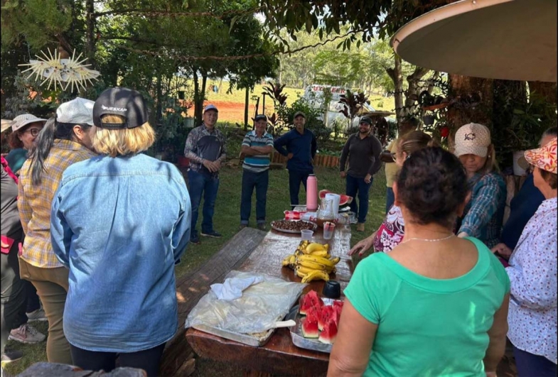 Vivência prática mostra todo o processo do “Do cafezal ao cafezinho” aos participantes