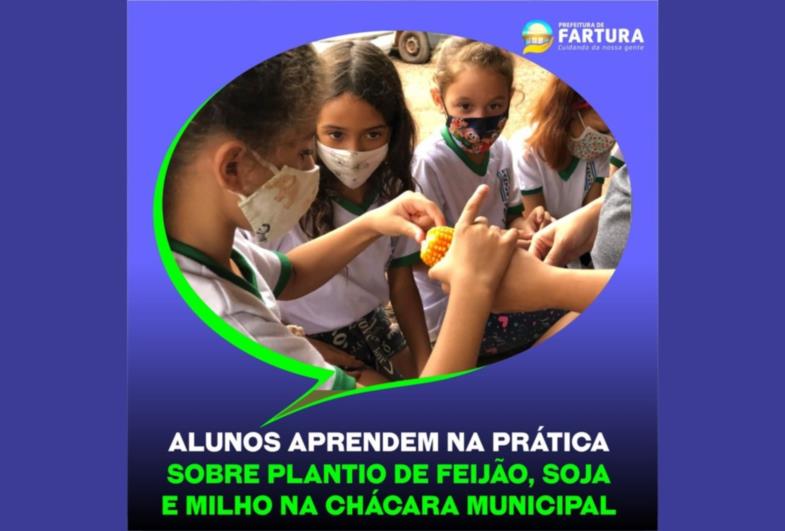 Alunos aprendem na prática sobre plantio de feijão, soja e milho na Chácara Municipal