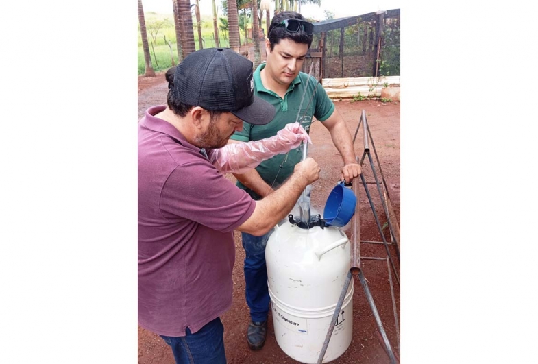 Prefeitura de Taguaí intensifica apoio ao produtor  rural com inseminação artificial e atendimento técnico