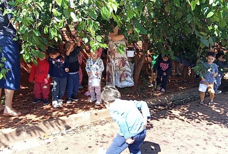Projeto une aprendizado, natureza e sabor na Escola Josiane Soldera, em Taguaí