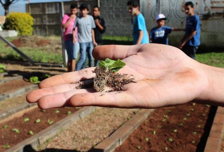 Projeto “Jovem Agricultor do Futuro” está com inscrições abertas