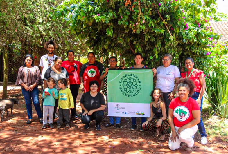 Projeto Fitoterápicos impacta produção sustentável de Norte a Sul; iniciativa também atua em São Paulo
