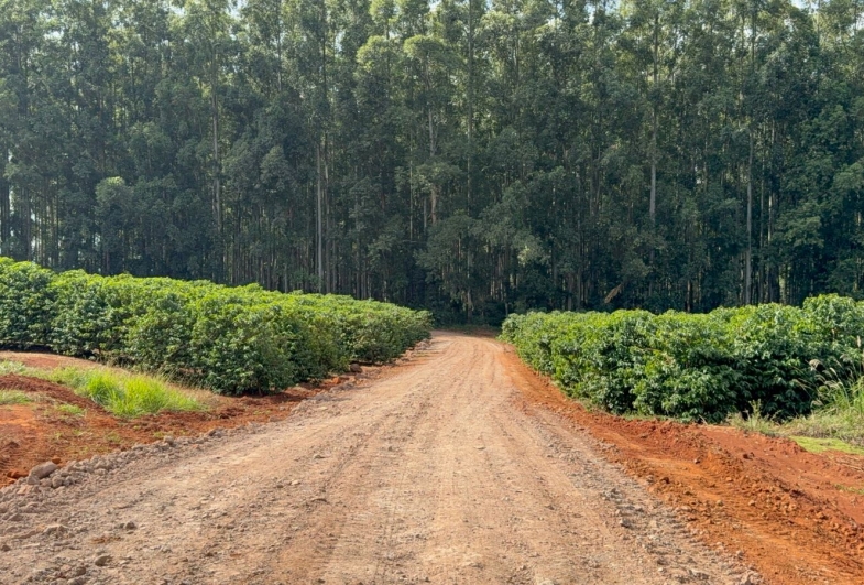 Prefeitura de Timburi intensifica a recuperação das estradas rurais