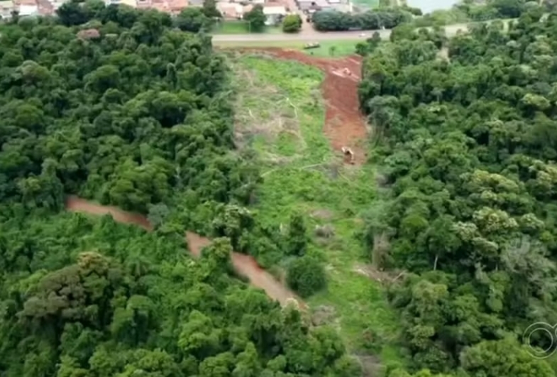 Sem autorização, dono de terreno desmatou 18 mil metros quadrados em Taquarituba; 