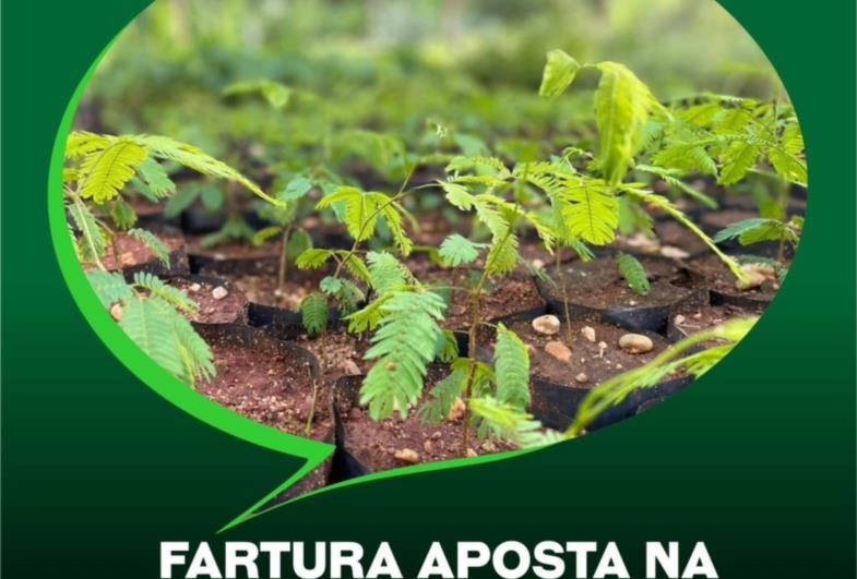 Fartura aposta na produção de mudas para doação aos moradores