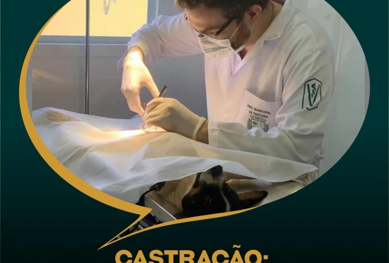 Castração: Clínica Veterinária agendará cirurgias na segunda-feira (7)