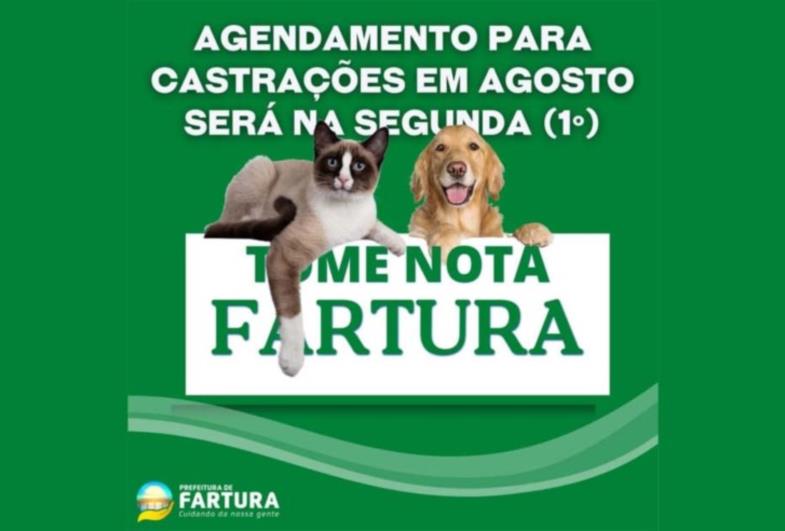 Tome nota: Agendamento para castrações em agosto será na segunda (1º)