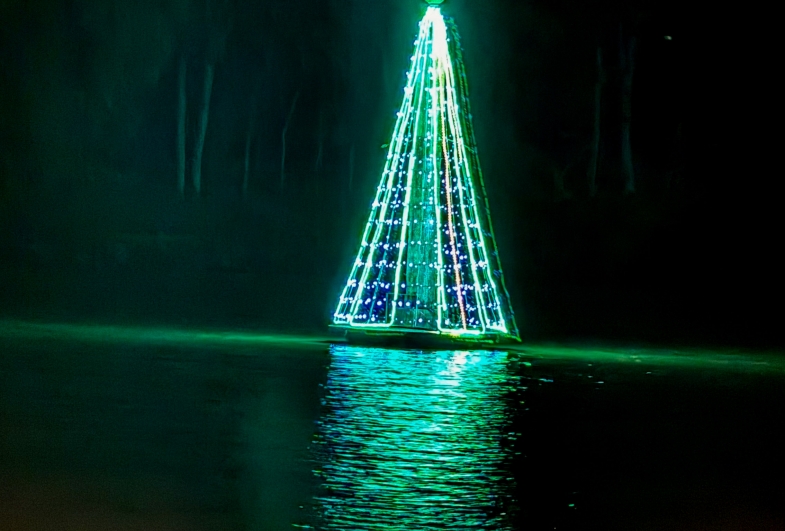 Natal sustentável transforma o Horto Florestal DE Avaré em atração noturna até as 22h