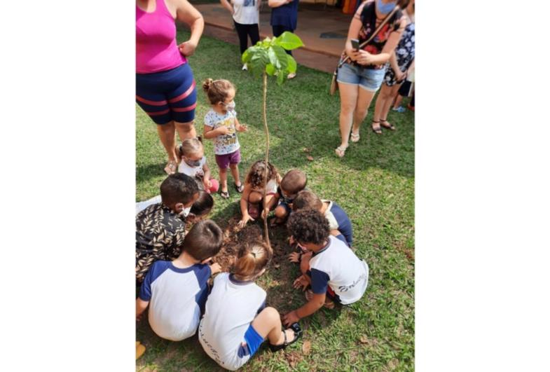 Dia da Árvore é celebrado com plantio de mudas em Avaré 