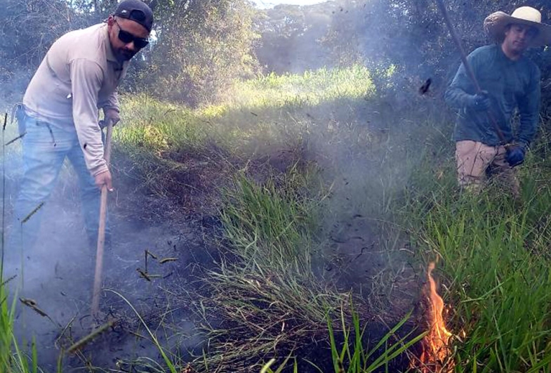 Defesa Civil de Taquarituba age rapidamente evitando desastre em mata fechada após incêndio criminoso