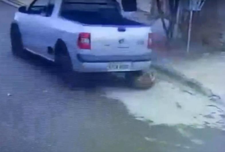 Câmera flagra motorista passando com carro por cima de cachorro