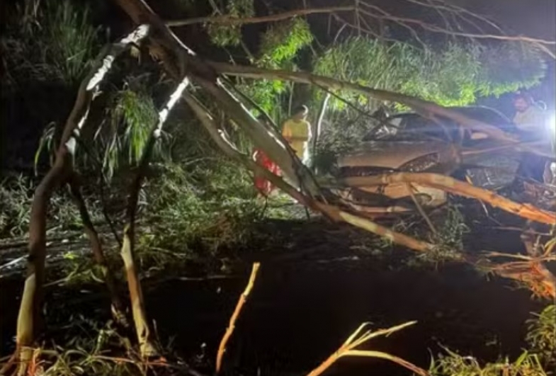 Carro bate em árvore caída e interdita SP-287 entre Piraju e Sarutaiá