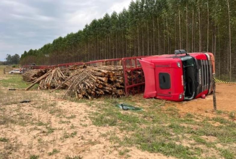 Caminhão carregado com toras de eucalipto tomba em zona rural 