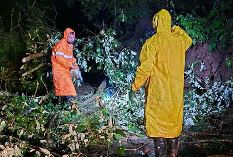 Chuva intensa provoca queda de árvores e mobiliza equipes da Defesa Civil de Taquarituba em diversos bairros 