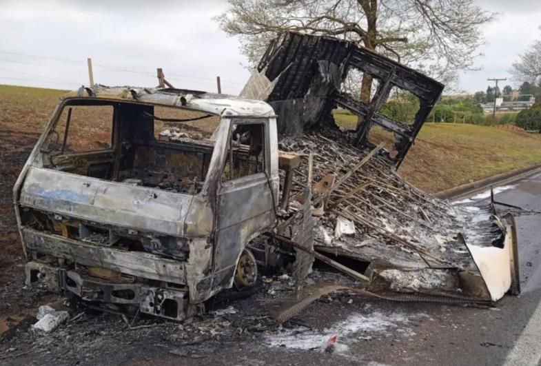 Caminhão pega fogo e 30 mil filhotes de codorna morrem carbonizados