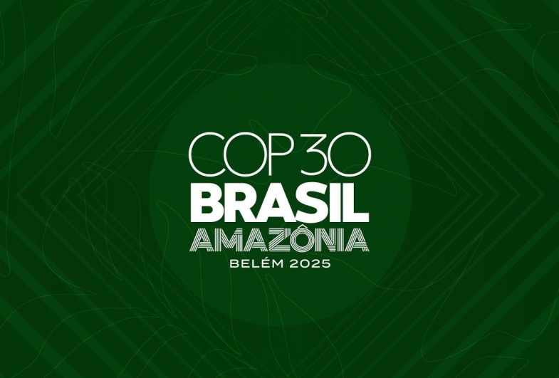 CPFL Energia chega à COP30 com metas ESG antecipadas e resultados concretos em descarbonização 