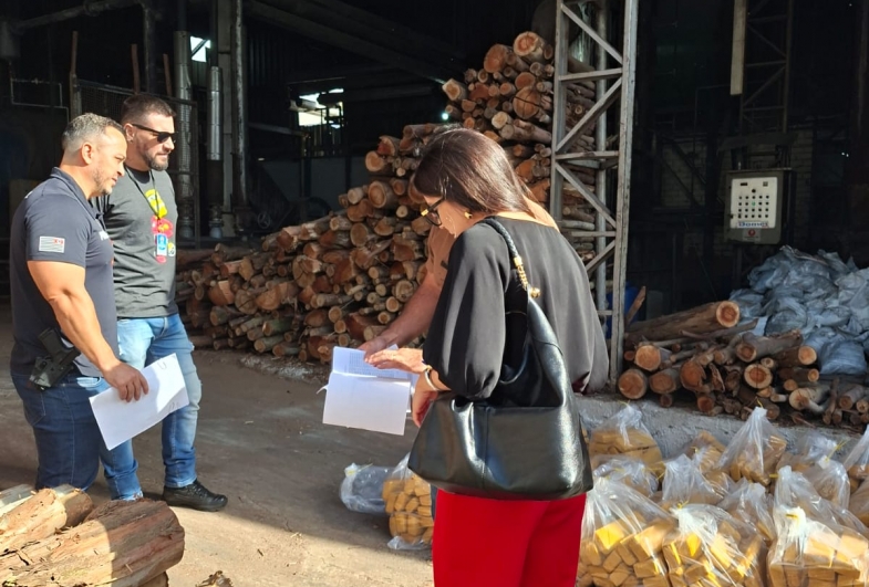 Polícia Civil incinera uma tonelada de drogas em Avaré