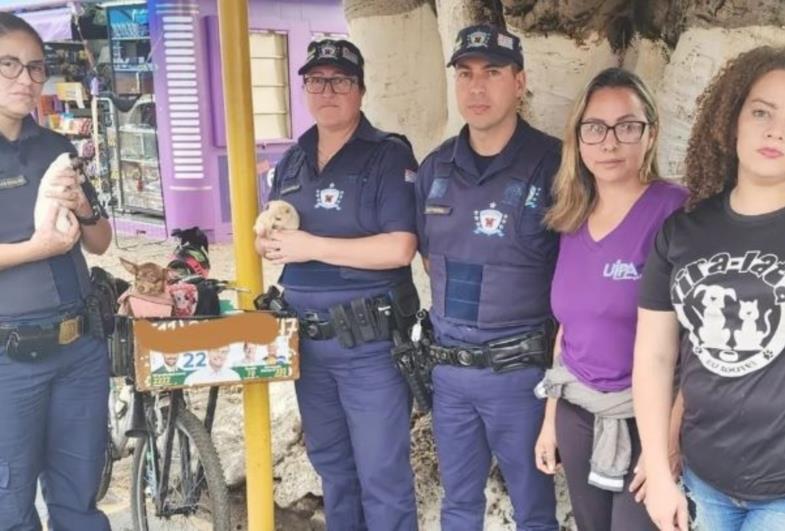 Filhotes colocados à venda em caixa de bicicleta durante feira livre são resgatados 