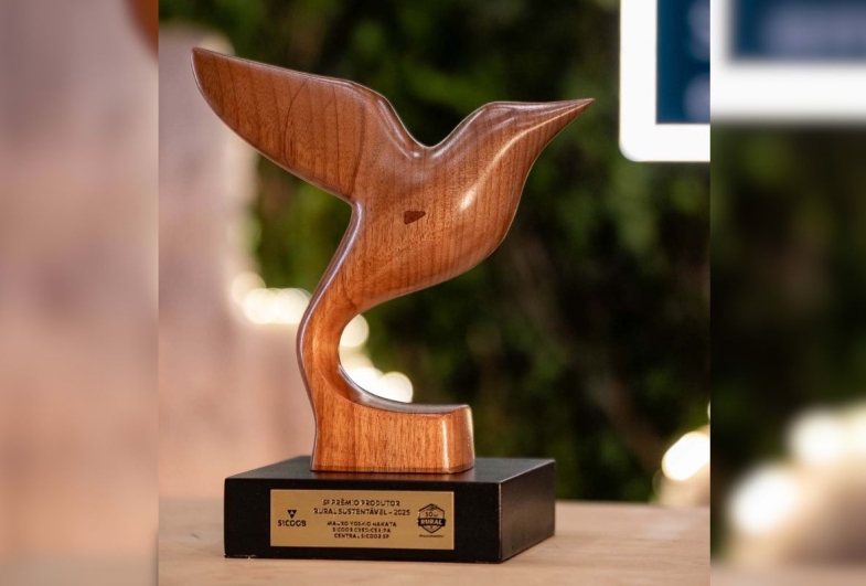 O troféu entregue aos cooperados reconhecidos pelo 5º Prêmio Produtor Rural Sustentável