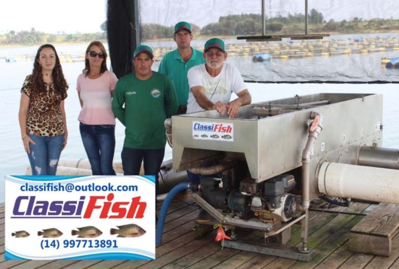 Farturense inventa a Classifish: máquina que classifica peixes