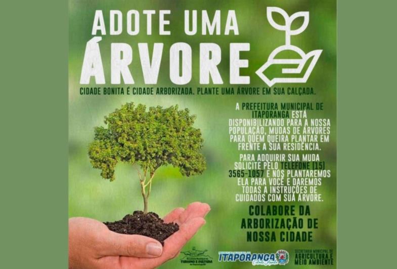 Prefeitura de Itaporanga implanta projeto “Adote uma Árvore” 