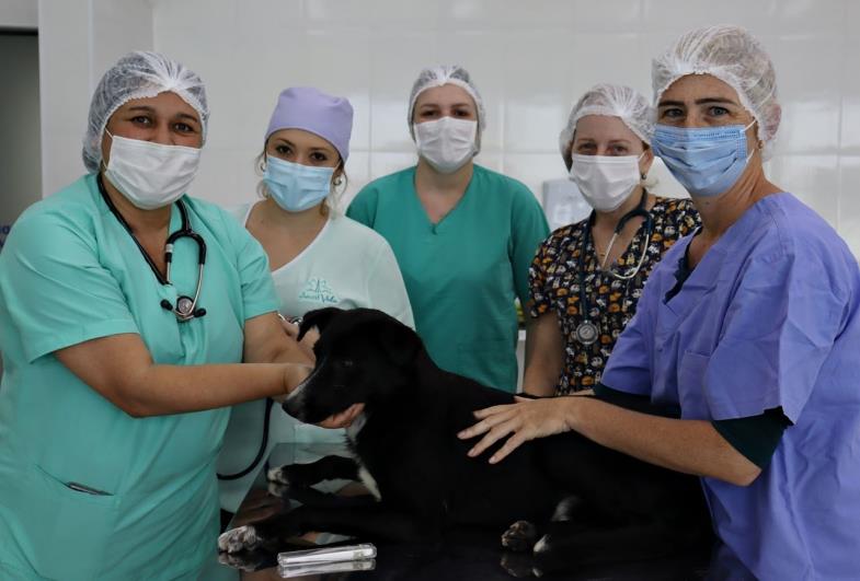 Medicina Veterinária Eduvale promove ação de castração gratuita