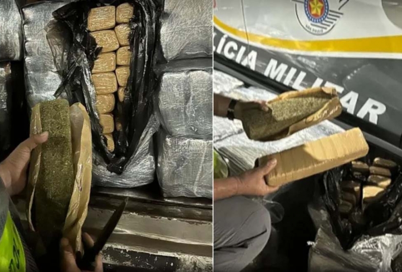 Homem é preso com 268 quilos de maconha escondidos entre móveis em caminhão de mudança