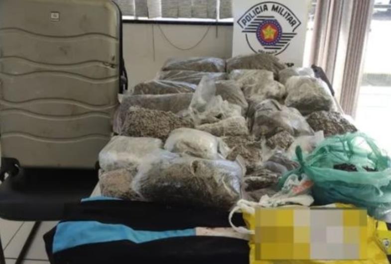 Mala de viagem com quase 10 quilos de 'supermaconha' é apreendida em área rural de Sarutaiá