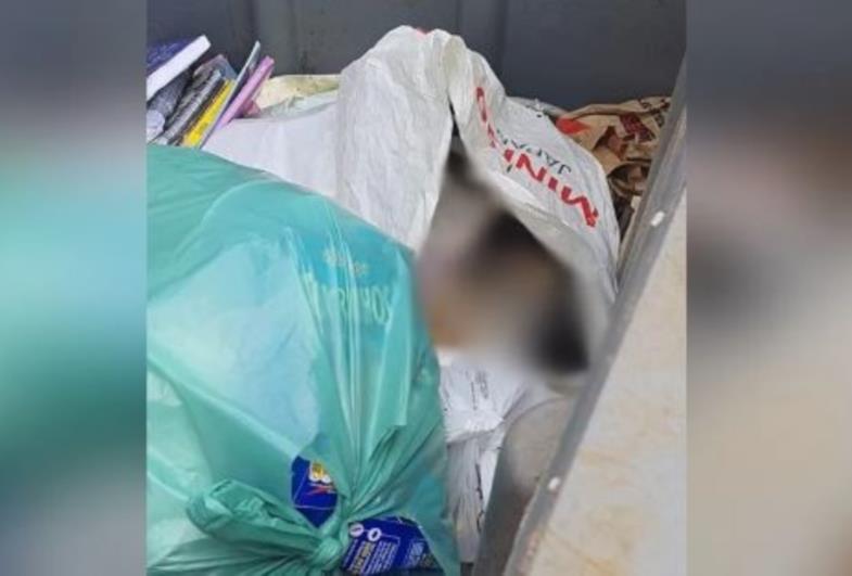 Mulher é presa após esconder corpo de cachorro em lixeira; outros seis animais foram resgatados