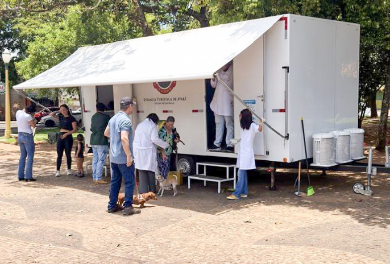 Vacinação antirrábica em Avaré chega a mais de 4,7 mil pets em 2025