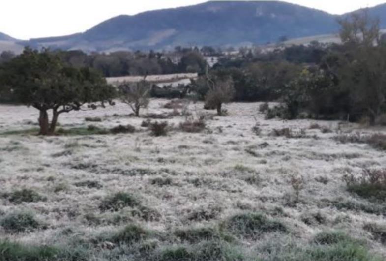 Defesa Civil faz alerta sobre chegada de onda de frio a SP no fim de semana